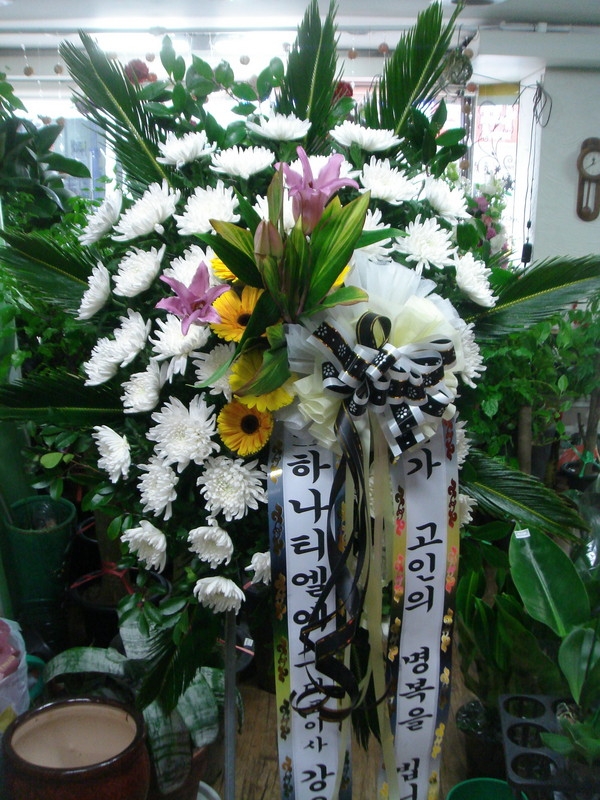 3��20��(�����)