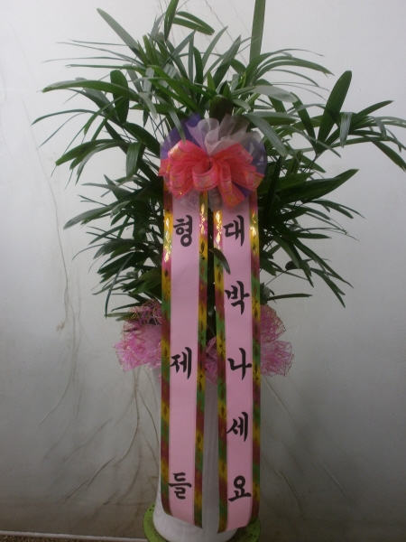 3��20��(�����)