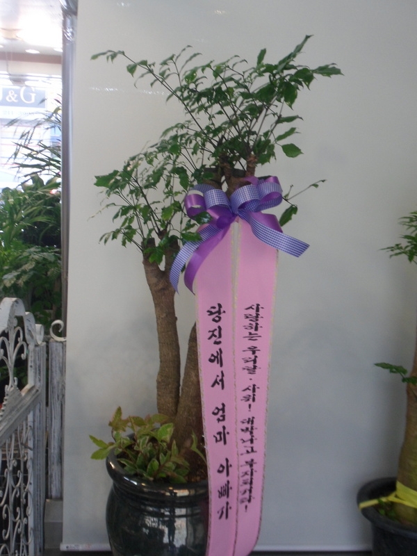 3��24��(������)