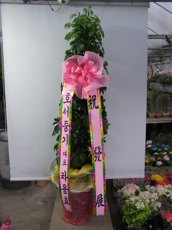 3��24��(������)