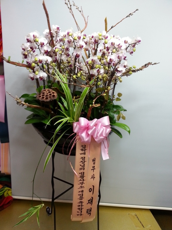 3��24��(������)