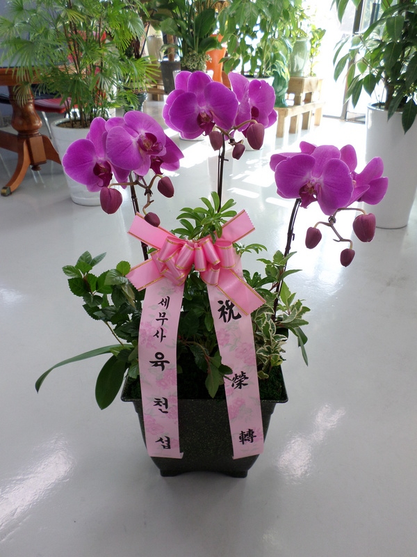 3��24��(������)