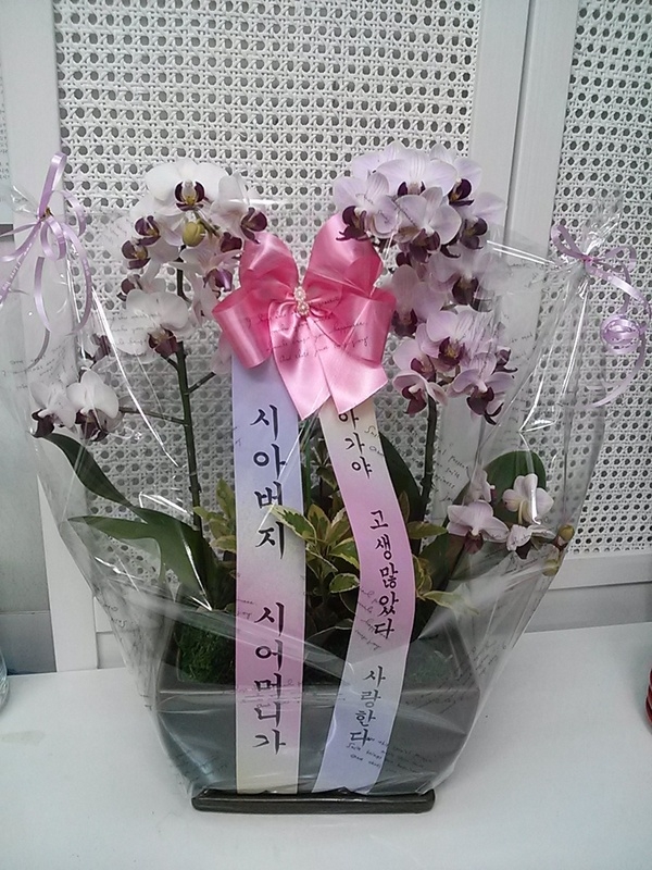 3��24��(������)