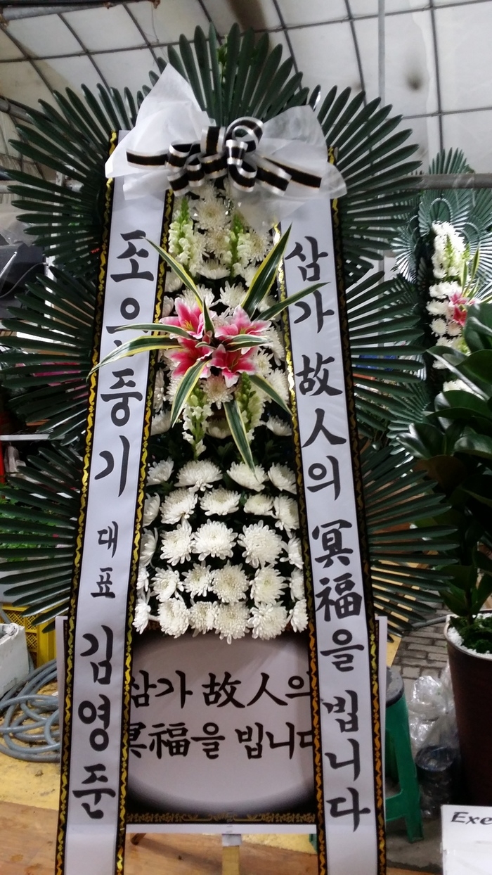 3��24��(������)