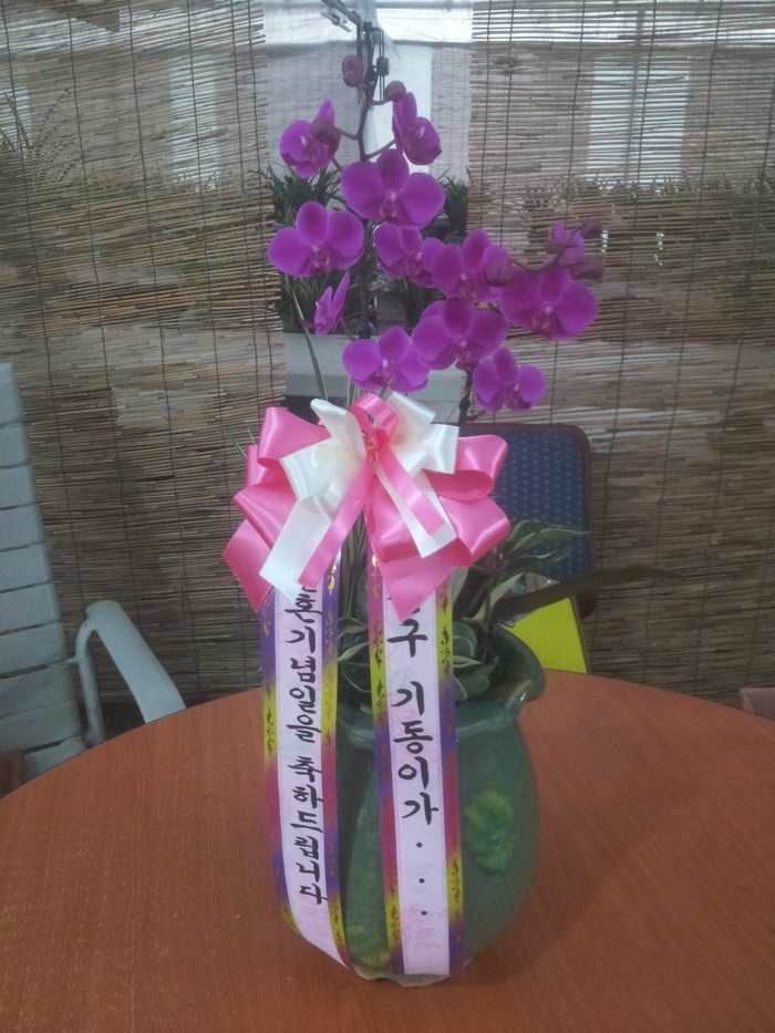 3��24��(������)