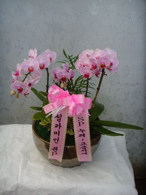 3��24��(������)