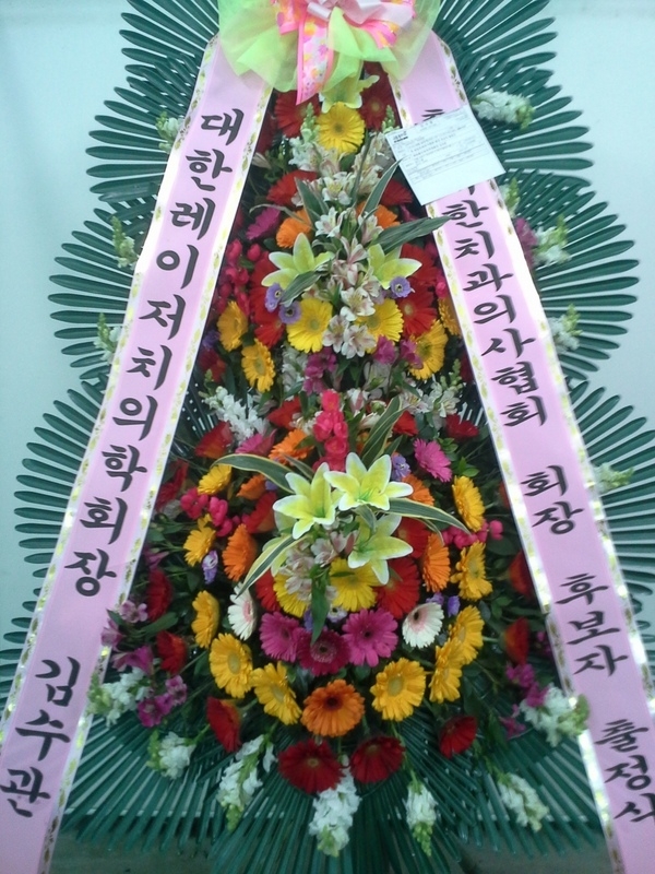 3��24��(������)