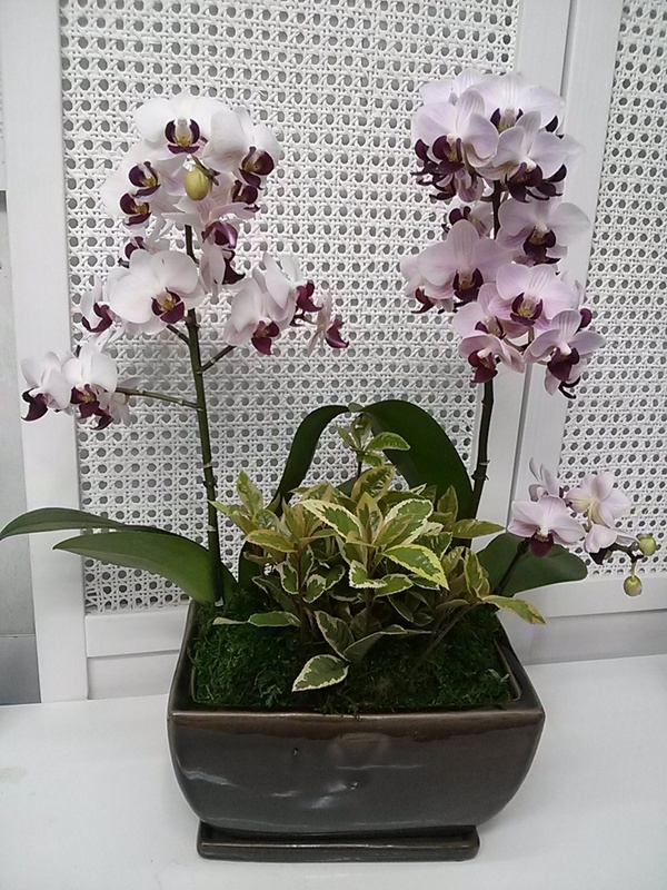 3��24��(������)