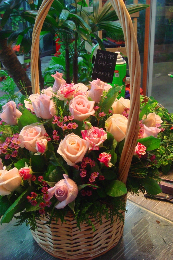 3��29��(�ݿ���)