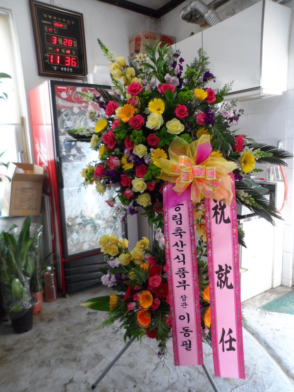 3��29��(�ݿ���)