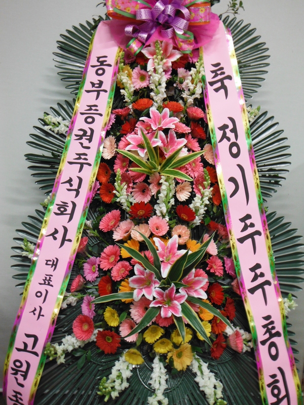 3��29��(�ݿ���)