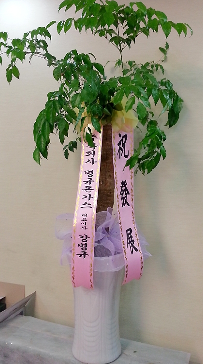 3��29��(�ݿ���)