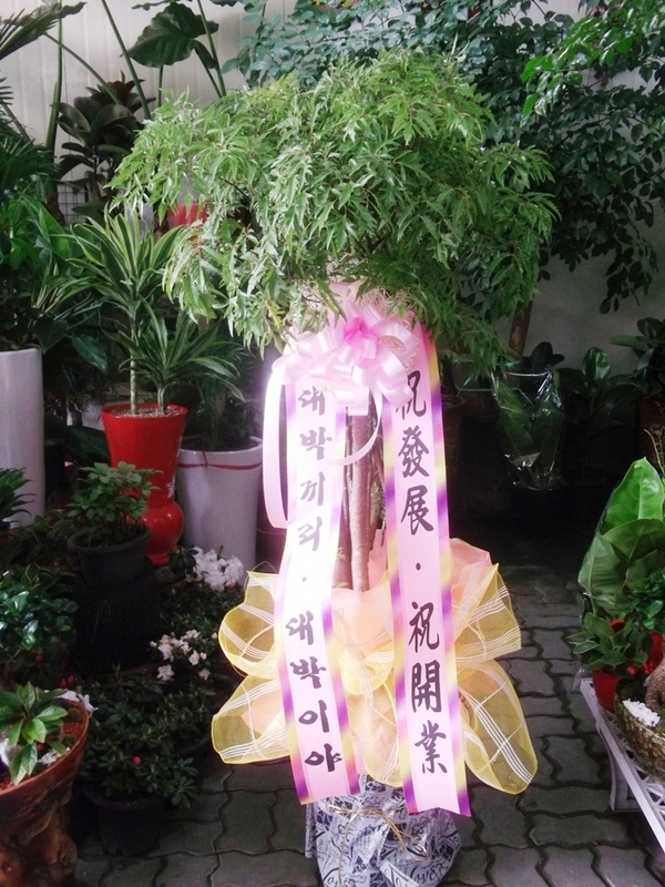 3��29��(�ݿ���)