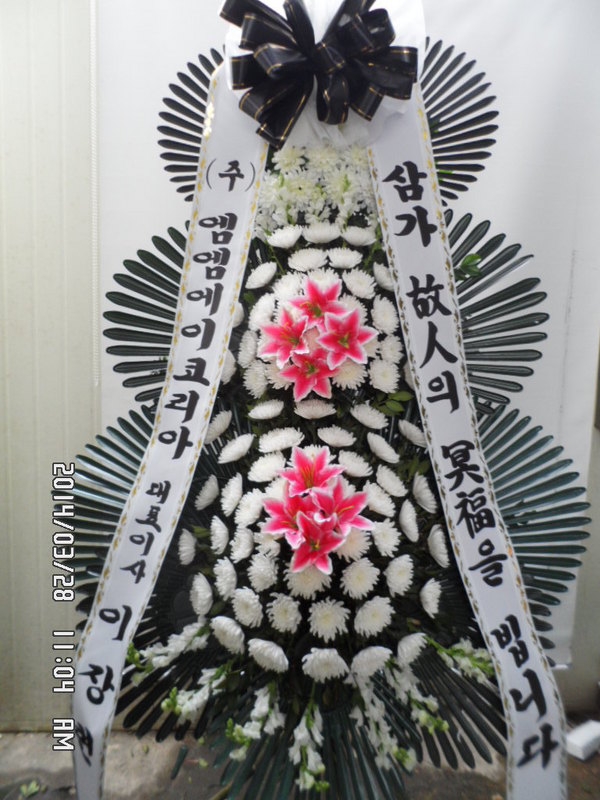 3��29��(�ݿ���)