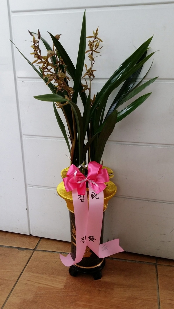 3��29��(�ݿ���)