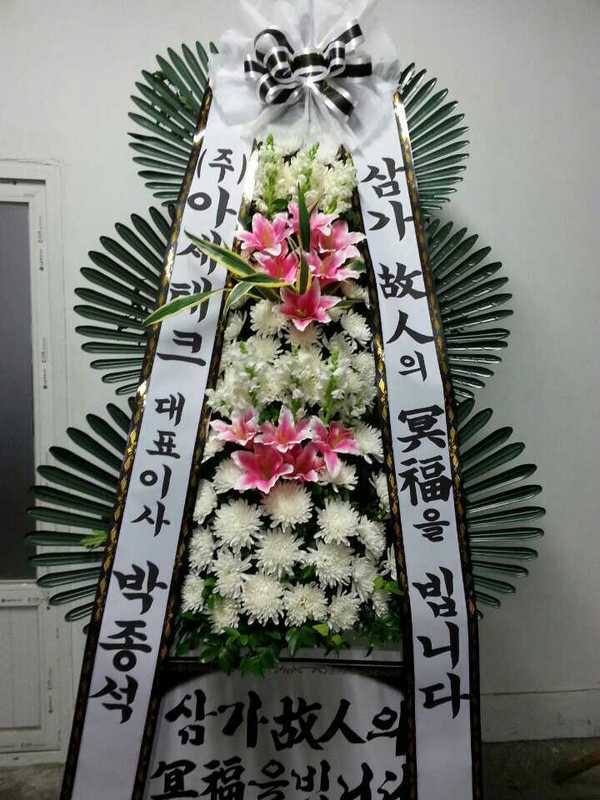 3��29��(�ݿ���)