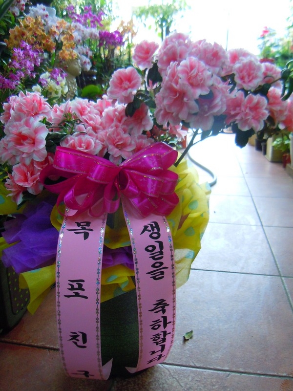 3��29��(�ݿ���)