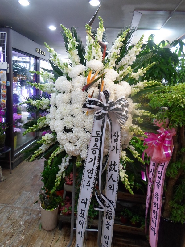 3��29��(�ݿ���)