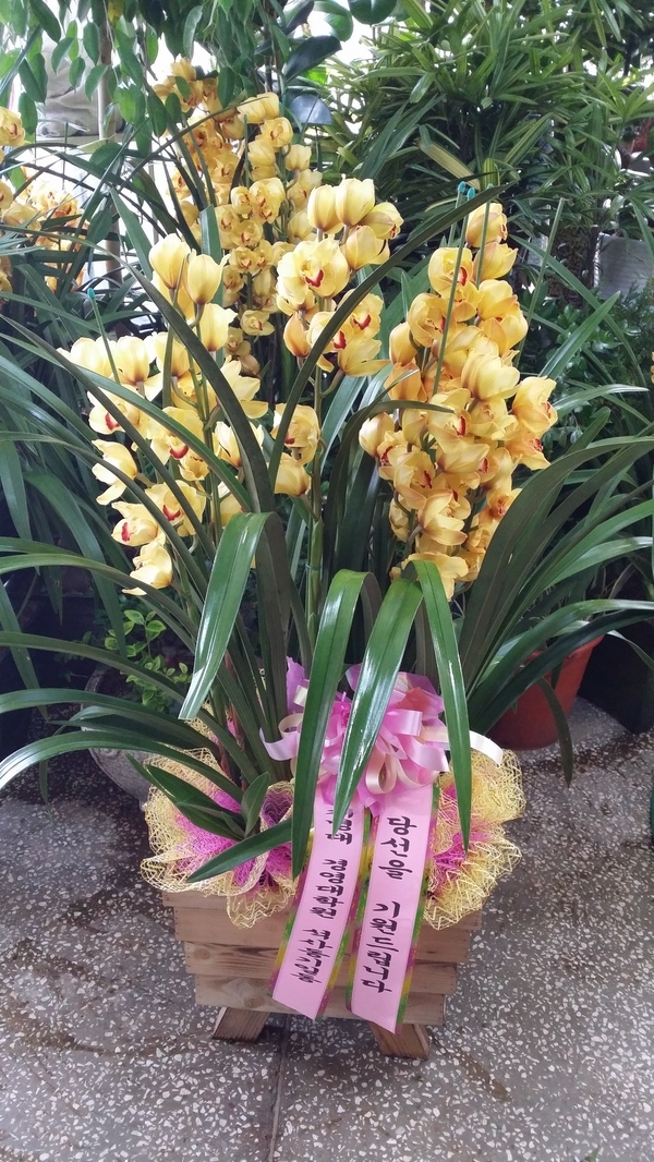 4��1��(ȭ����)