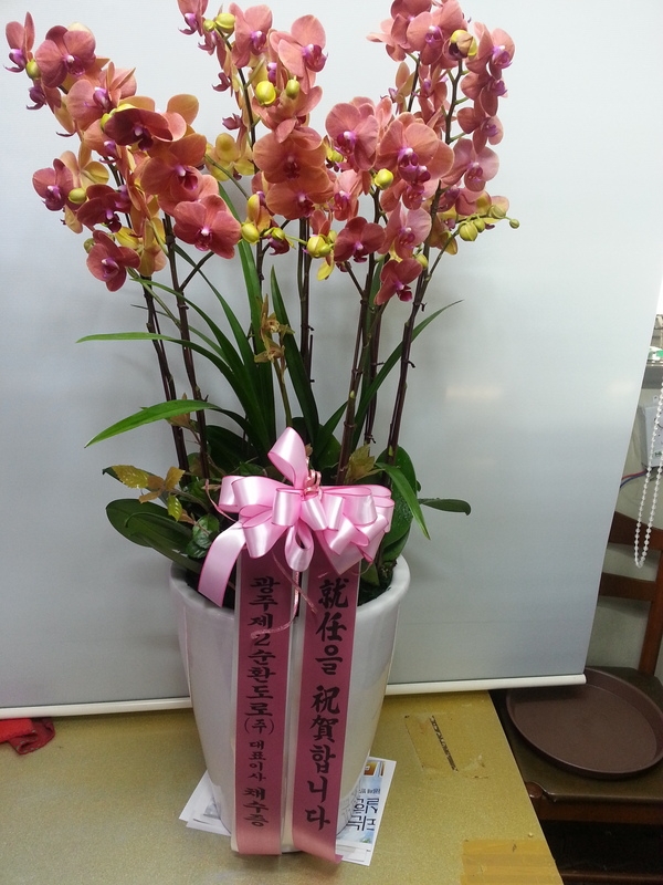 4��1��(ȭ����)