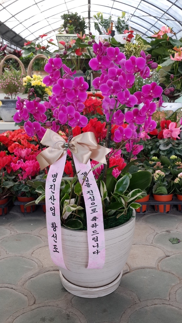 4��1��(ȭ����)