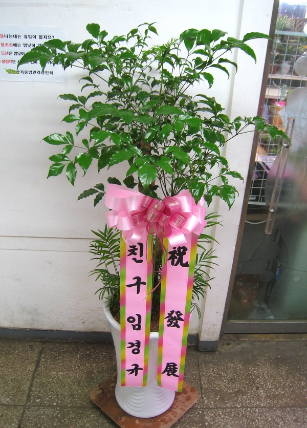 4��1��(ȭ����)