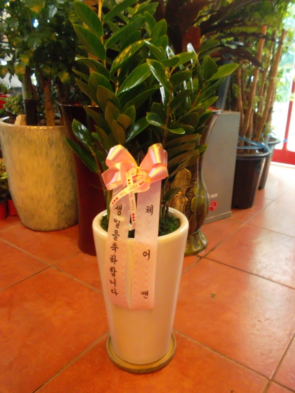 4��7��(������)