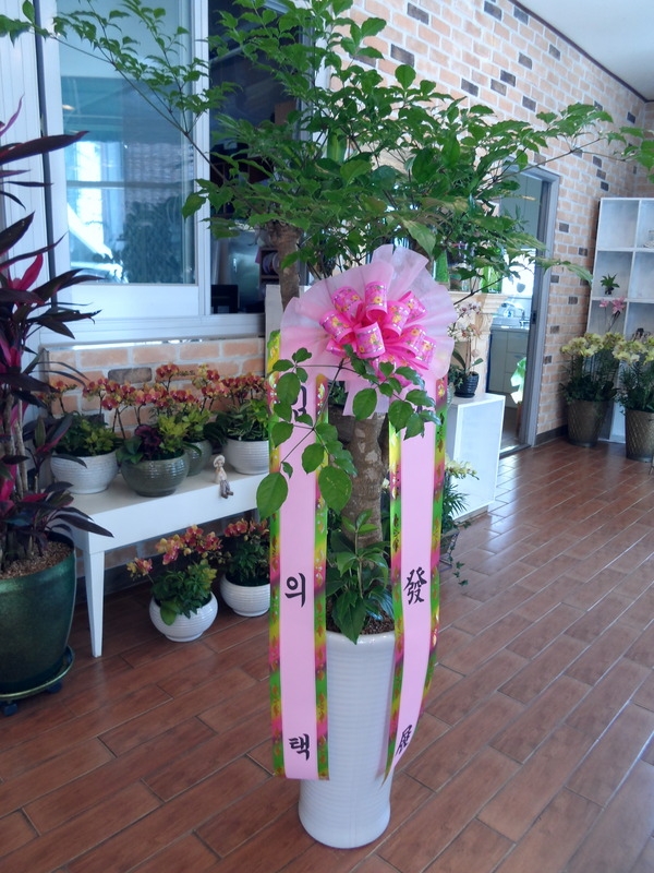 4��7��(������)