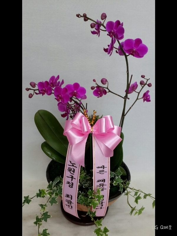 4��7��(������)