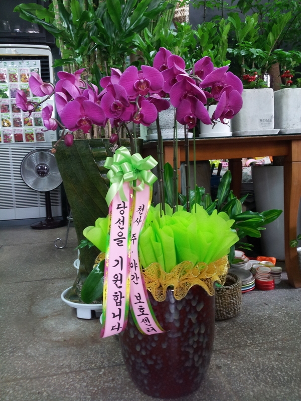 4��7��(������)