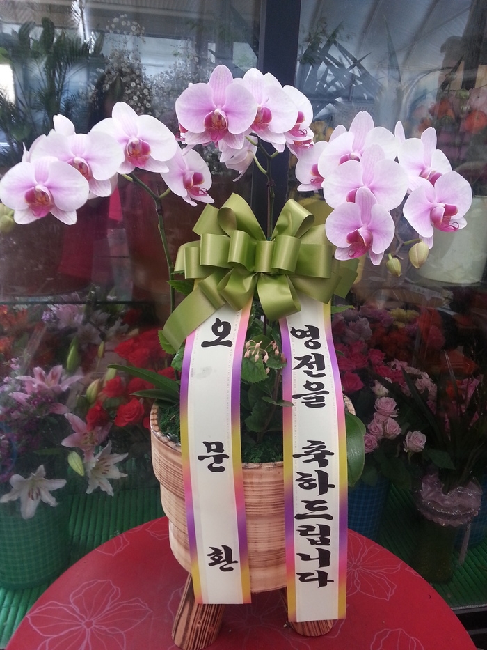 4��7��(������)