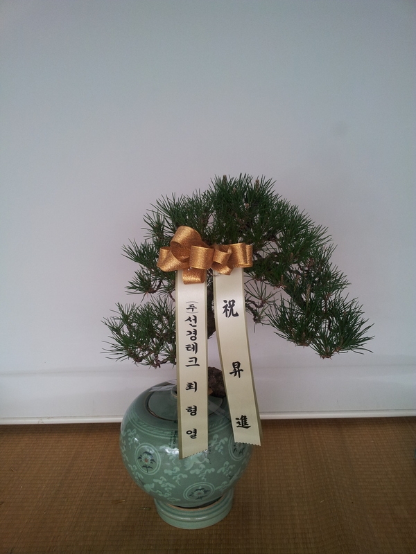 4��12��(�����)