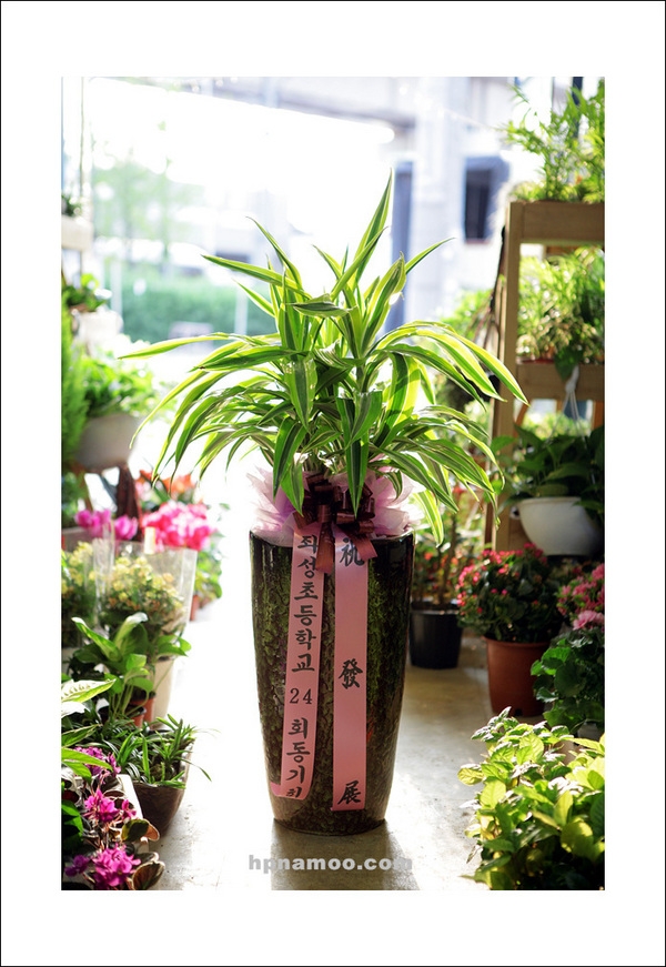 4��12��(�����)