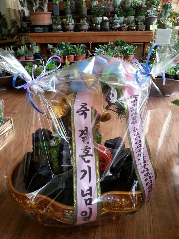 4��21��(������