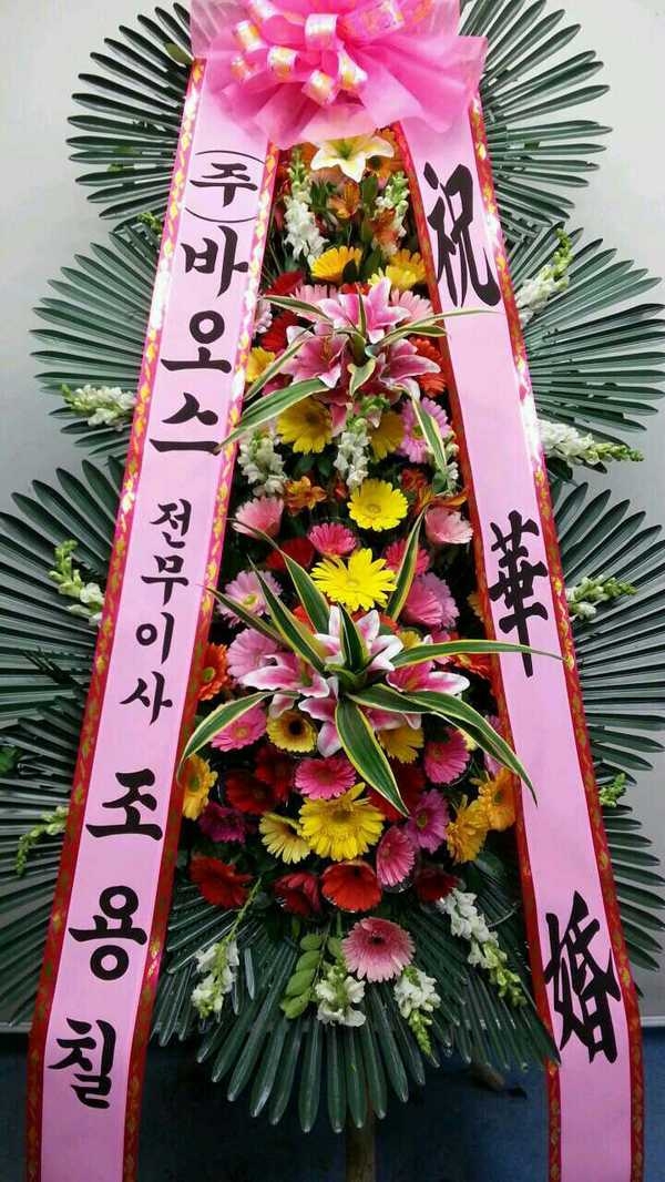 4��21��(������