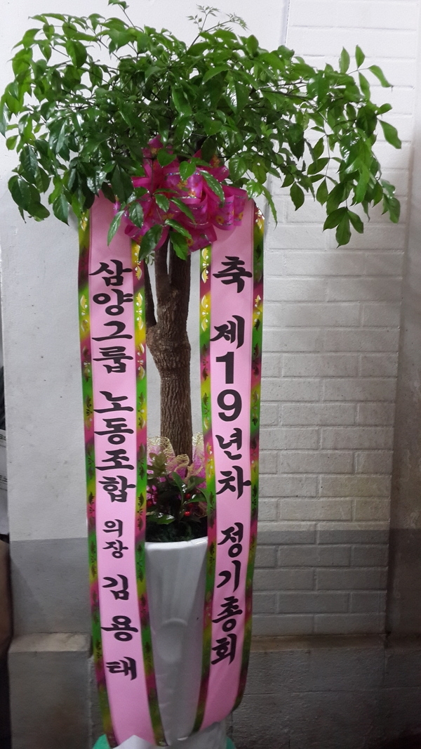 4��23��(������)