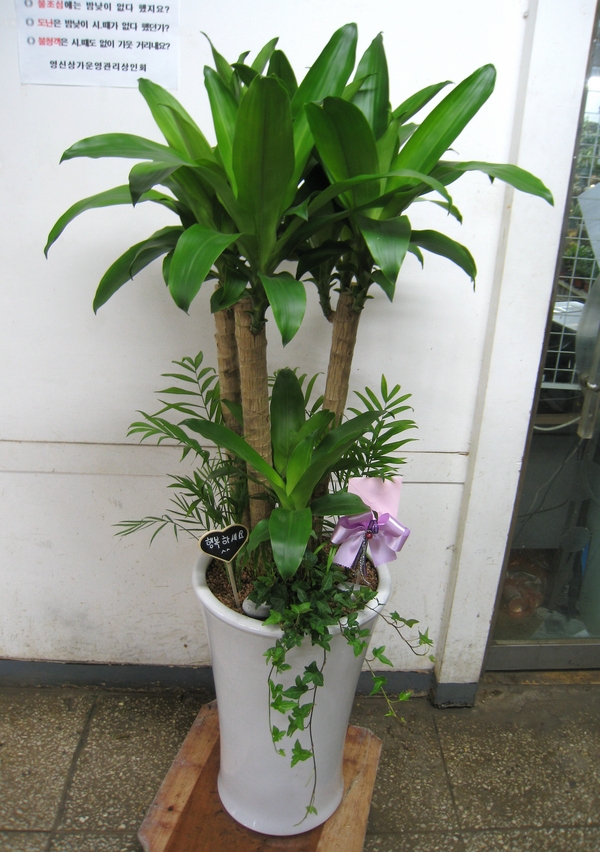 4��23��(������)