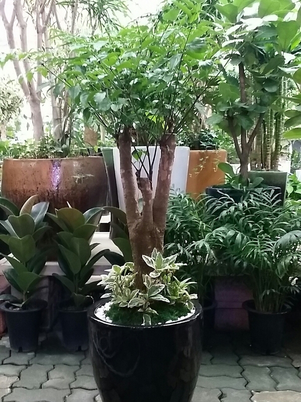 4��23��(������)