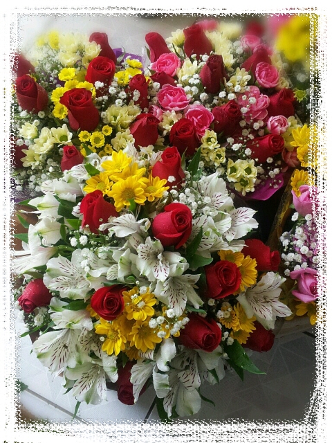 4��23��(������)