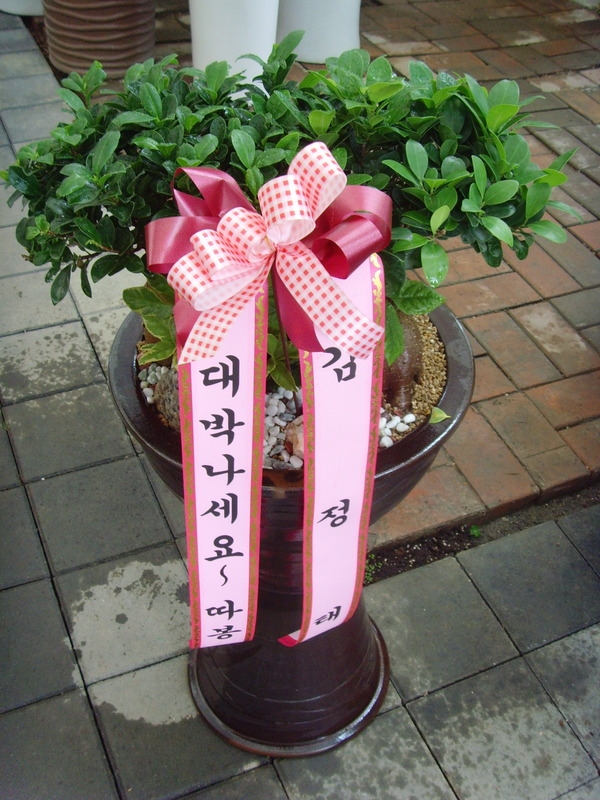 4��23��(������)