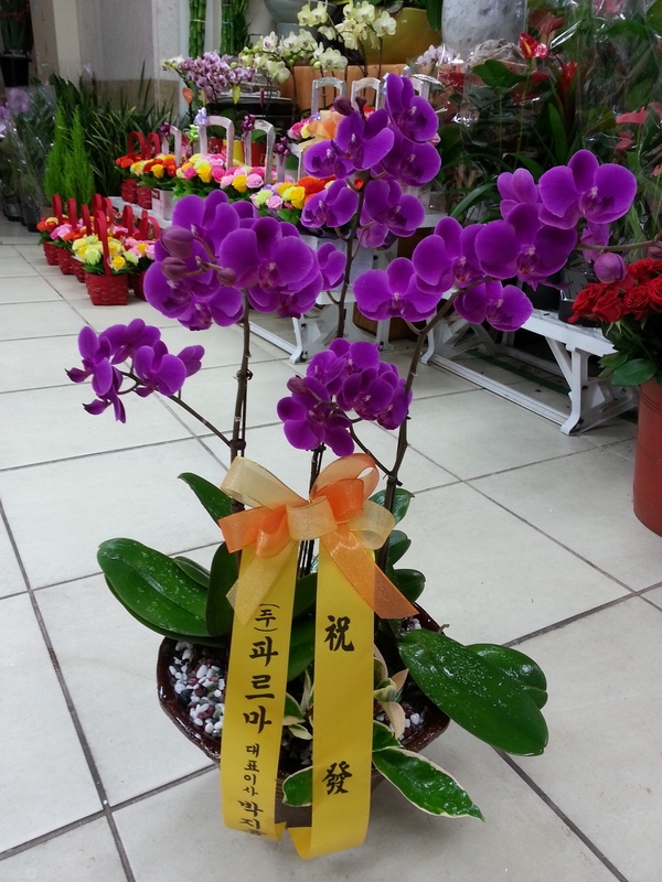 4��23��(������)