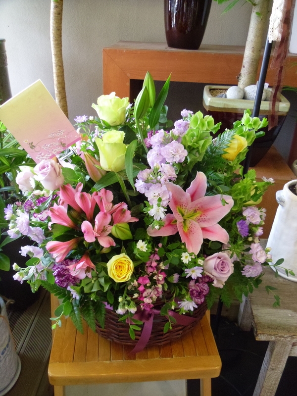 4��23��(������)