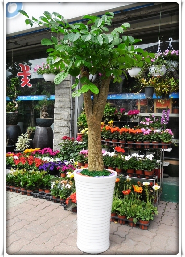 4��30��(������)