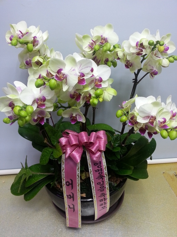 4��30��(������)