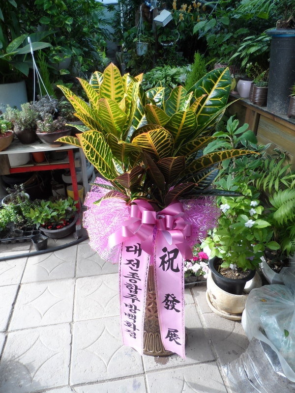 4��30��(������)