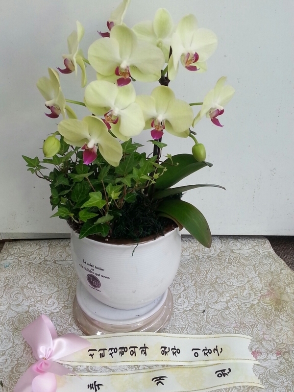 4��30��(������)