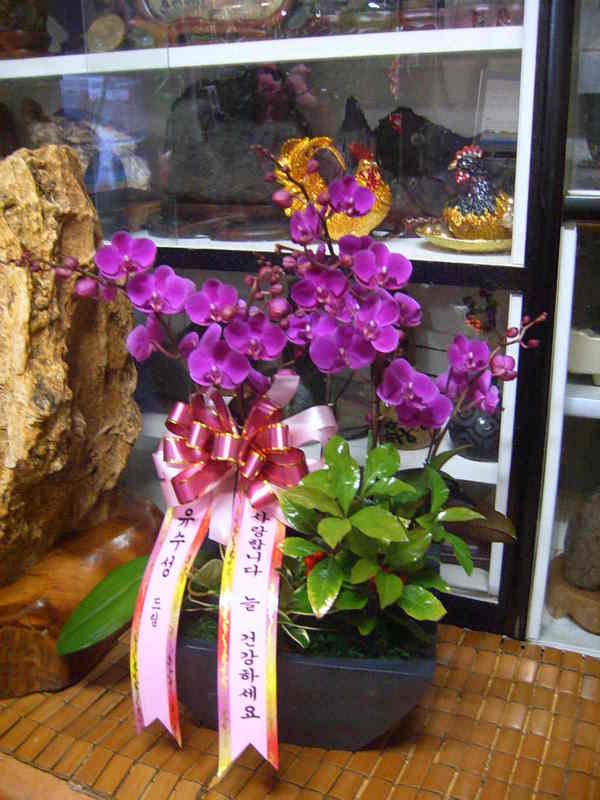 5��6��(ȭ����)