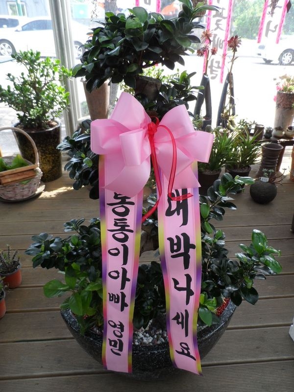 5��27��(ȭ����)