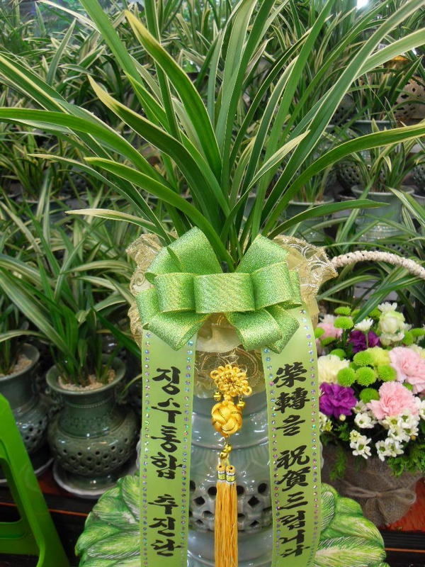 5��27��(ȭ����)