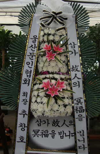 6��1��(�Ͽ���)